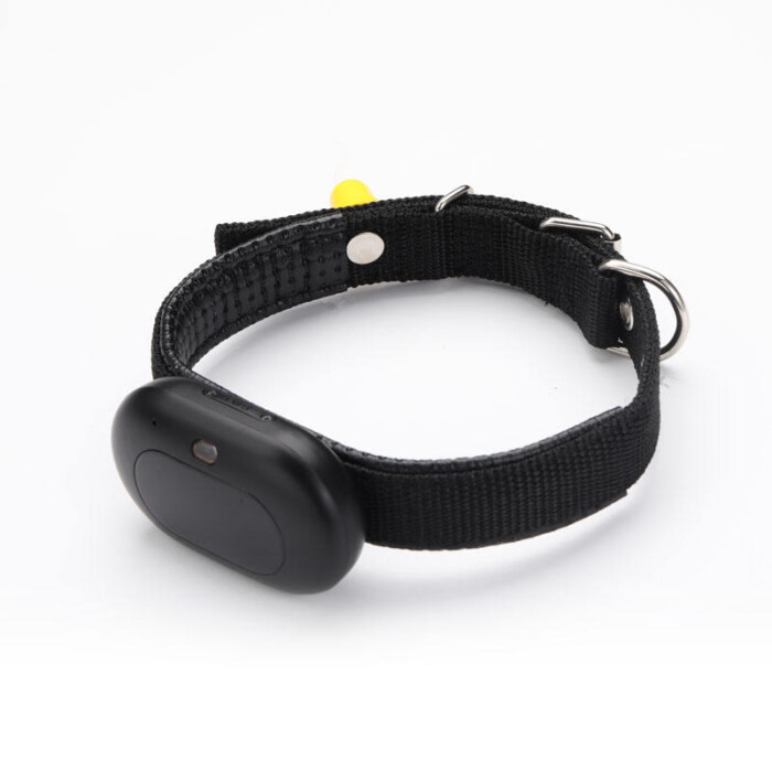 Anti Lost 4G Wireless Mini IP67 Waterproof Location Collar 4G Pet Tracker GPS for Dog Cat Animal