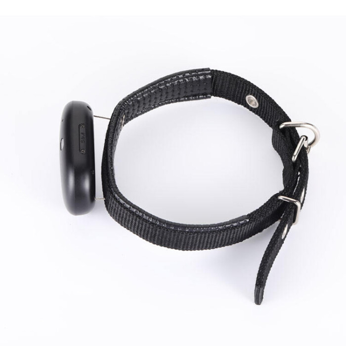 Anti Lost 4G Wireless Mini IP67 Waterproof Location Collar 4G Pet Tracker GPS for Dog Cat Animal - Image 4